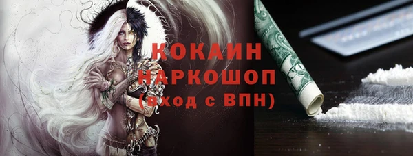 гашик Алексин