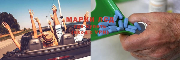 гашик Алексин