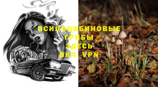 ешки Алексеевка