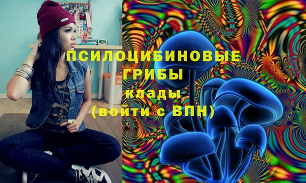 MDMA Premium VHQ Алзамай