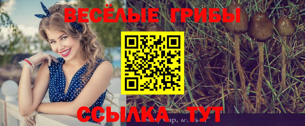 Галлюциногенные грибы прущие грибы  Вход с VPN  что такое   Галлюциногенные грибы Psilocybe  Орск 